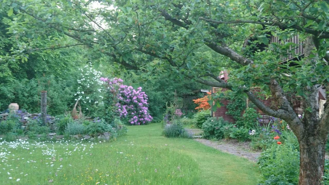 Landhaus Bernecker, Bay.W. Rinchnach ภายนอก รูปภาพ